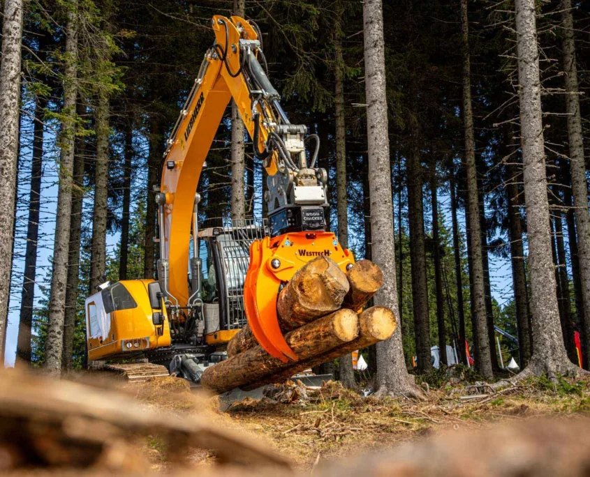 WOODCRACKER WG1600 – manipuler – vue principale 1